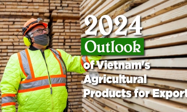 Vietnam's wood takes full advantage of the potential market in Canada