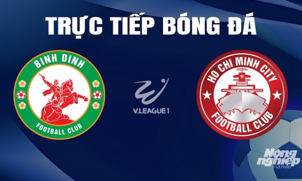 Trực tiếp Bình Định vs TP.HCM giải V-League 2023/24 trên TV360 hôm nay 31/3/2024