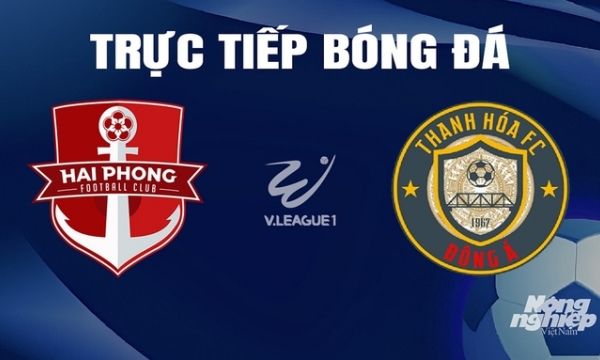 Trực tiếp Hải Phòng vs Thanh Hóa giải V-League 2023/24 trên TV360 hôm nay 5/4/2024