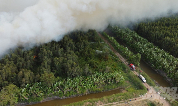 Bộ trưởng Lê Minh Hoan chỉ đạo tích cực dập lửa, cứu rừng Cà Mau