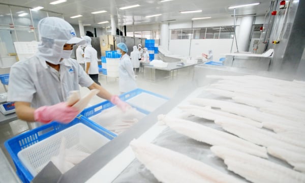 Vietnam thrives to be Singapore’s fifth largest seafood export partner