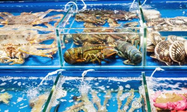 China's market wide open for live lobster and crab