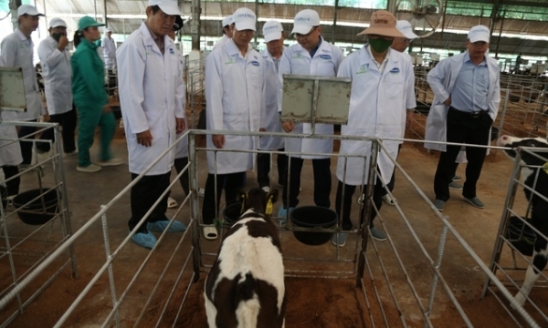 Tây Ninh chuẩn bị triển khai 2 dự án nông nghiệp lớn