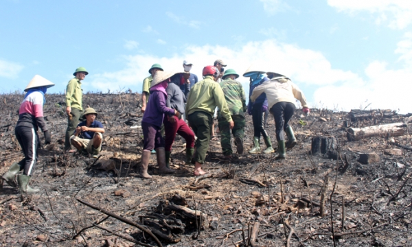 Cần xử lý việc người dân lấn chiếm đất rừng trái phép ở Quảng Bình