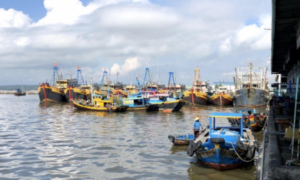 Bình Thuận: Cả hệ thống chính trị vào cuộc chống khai thác hải sản trái phép