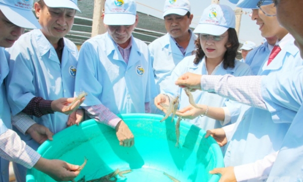 Bac Lieu aspires to become the 'hub' of the country's shrimp industry