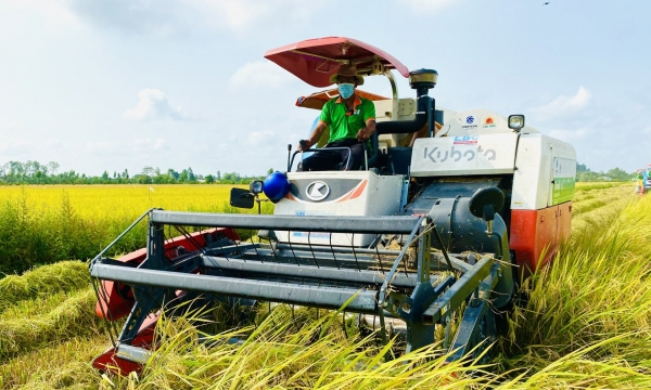 Agriculture in the Mekong Delta harvests success despite high input materials