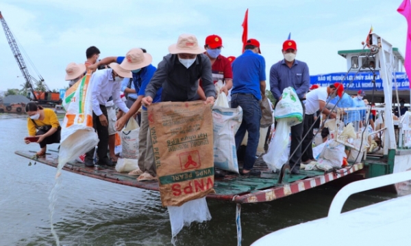 Mekong Delta: Releasing millions of fish seeds to the nature
