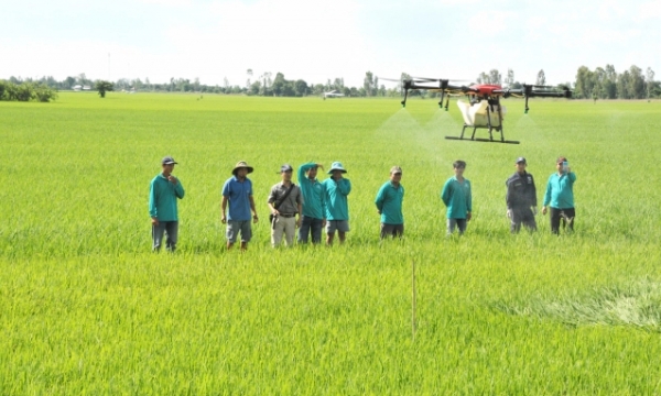 Application of Industry 4.0 technology in rice cultivation