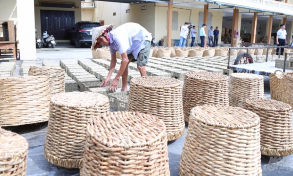 Large export market for bamboo and rattan products