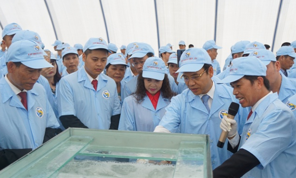 Set target for 8 billion high-quality shrimp seeds per year in Quang Ninh