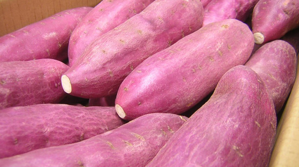 The price of Vietnamese sweet potatoes is three times higher than that of Chinese sweet potatoes