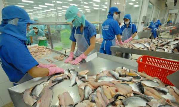 Cambodia reconsiders order banning imports of farmed fish