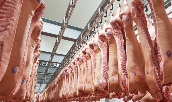 Russia has become Vietnam’s second largest supplier of pork