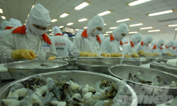 Shrimp industry flooded with good news as 2021 starts