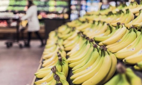 Shortage of top-quality bananas in Chinese market
