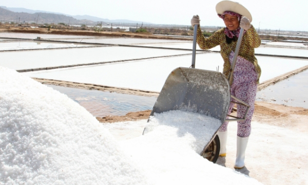 Vietnam to enhance domestic salt production and curb import
