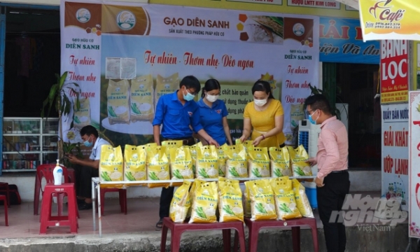 Nâng tầm thương hiệu 'Gạo Diên Sanh' góp phần xây dựng nông thôn mới