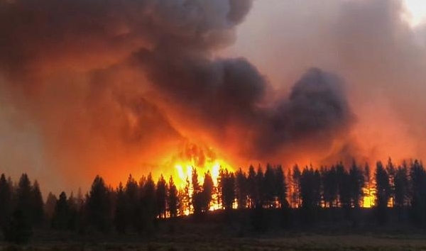 Wildfires rage in Russia, Spain and the US amid high temperatures
