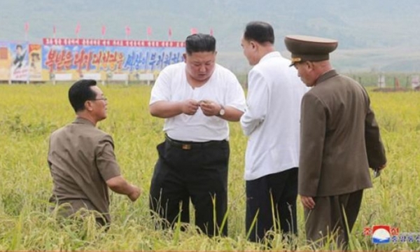 Triều Tiên thiếu gần 1 triệu tấn lương thực, tháng sau sẽ kiệt quệ