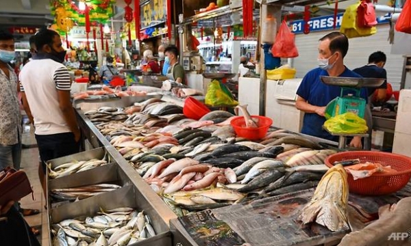 Plenty of fish in the sea? Seafood-loving Singapore may not have its fill in the future
