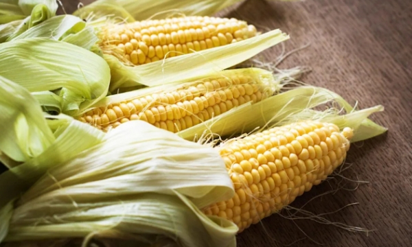 How to prepare corn on the cob in the microwave