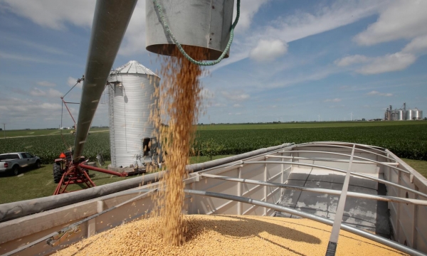 Grain markets keep treading water