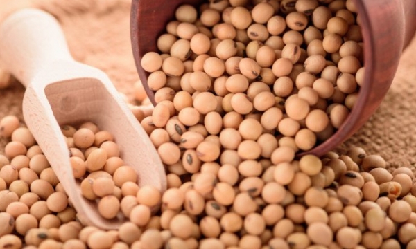 Ag markets feel pressure from soybeans