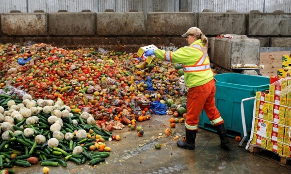 We throw-away a third of the food we grow – here’s what to do about waste