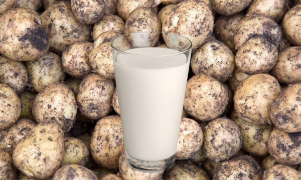 Is potato milk the most sustainable dairy alternative yet?