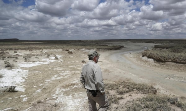 Farmers restore native grasslands as groundwater disappears
