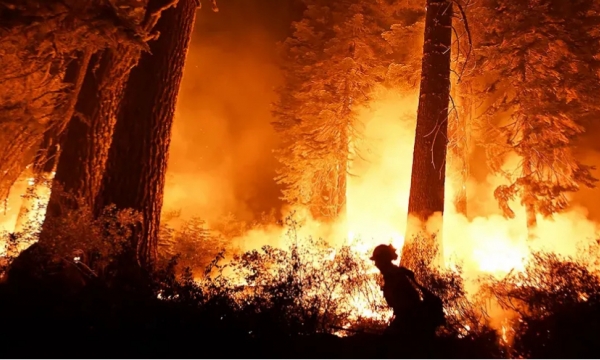 Fires shut Sequoia National Park, could threaten huge trees