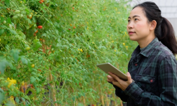 Trung Quốc tăng cường đổi mới công nghệ khoa học nông nghiệp