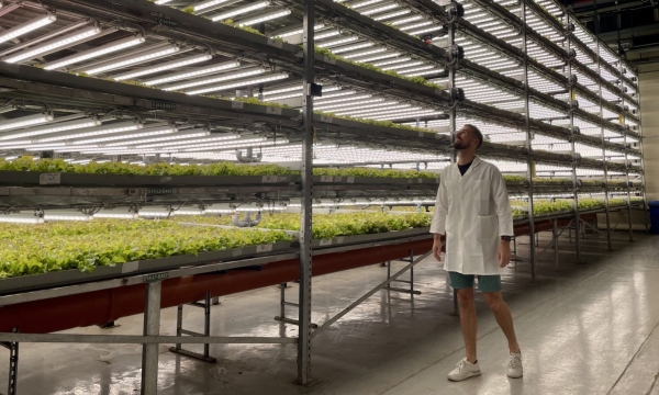 Vertical farming is headed for the ‘trough of disillusionment.’ Here’s why that’s a good thing
