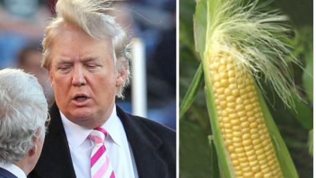 Federal watchdog: Trump's USDA overpaid corn farmers by $3B