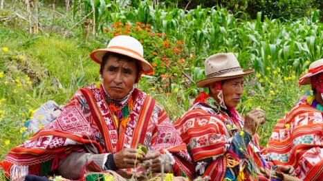 A seed for all seasons: can ancient methods future-proof food security in the Andes?