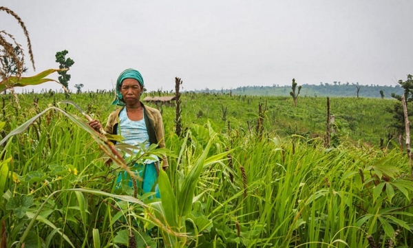 An Indigenous community in India’s Meghalaya state offers lessons in climate resilience