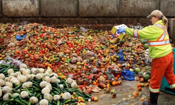 Stopping food waste before it starts is key to reaching climate goals