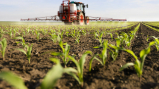 An end date to higher fertilizer prices is unknown, AFBF economists say