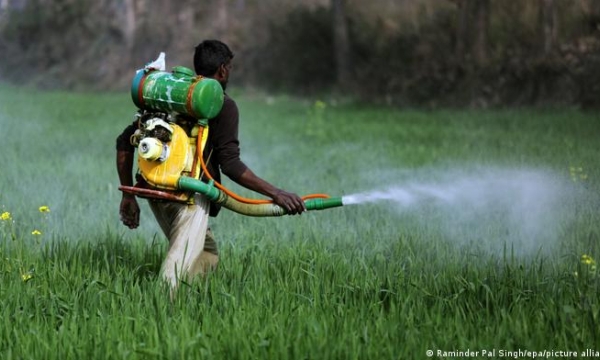 Green groups target poisonings from rising pesticides sales