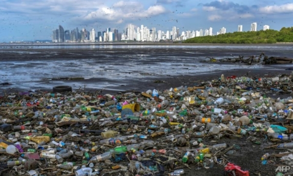 World must work together to tackle plastic ocean threat: WWF