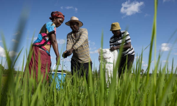 A life-changing fertilizer for rural farmers in Kenya