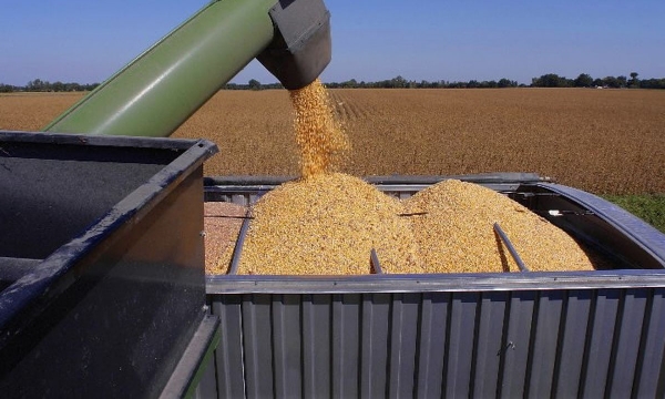 Corn, soybean prices headed higher