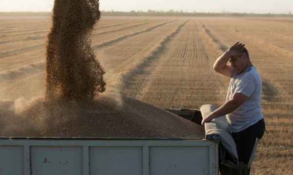 Soaring SRW wheat futures shatter all-time high as crisis in Ukraine continues