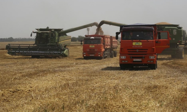 Russian war in world’s ‘breadbasket’ threatens food supply