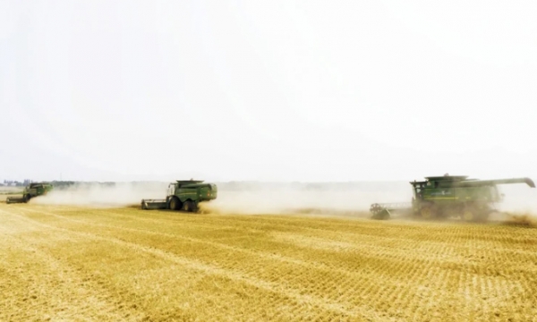 Zelensky urges Ukrainian farmers to plant crops