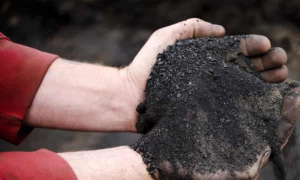 This ancient fertilizer is a skeleton key for saving Earth