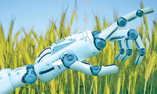 Using AI in agriculture could boost global food security but we need to anticipate the risks
