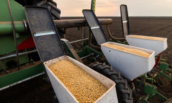 USDA: Soybean acres to surpass corn for third time ever