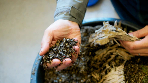 How to compost and why it’s good for the environment